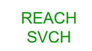 SVHC檢測REACH認證機構(gòu)